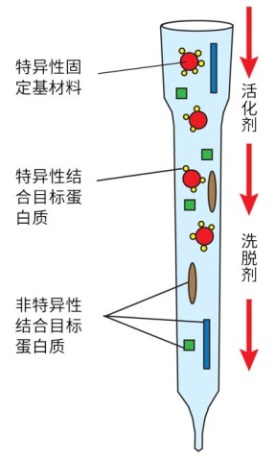 說明: \\211.5.6.241\#market\#部門中轉\5-2018年郵件PDF版資料\2018年MDD供稿\2018MDD重點項目資料美化制作\1-百靈威蛋白質親和層析系列產品\使用圖片.jpg
